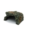 Rocks & Décor for Reptiles & Amphibians