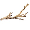 Wood Products for Reptiles & Amphibians | Pet Supplies