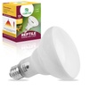 Habitat Lighting for Reptiles & Amphibians