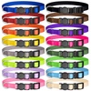 Collars for Small Animals | Pet Supplies