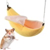 Hammocks & Pet Supplies for Small Animals | Habitats & Houses
