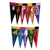 Pennants & Fan Shop Souvenirs - Sports & Outdoors