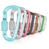 Accessory & Keychain Carabiner for Sports & Outdoors