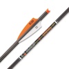 Crossbows: Sports & Outdoors Gear for Hunting, Fishing, Archery