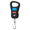 Fish Scales: Accessories & Gear for Sports & Outdoors