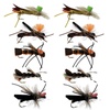 Dry Flies: Sports & Outdoor Gear for Fishing