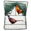Cage Traps: Sports & Outdoors Hunting Accessories
