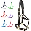 Halters for Sports & Equestrian Use