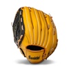 Mitts for Baseball & Sports | Find Your Perfect Match