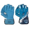 Wicket Keeping Gloves: Protect Your Hands with Top-Quality Equipment