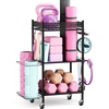Equipment Carts: For Sports & Fitness on the Go