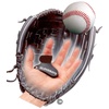 Mitt Padding: Sports Accessories & Equipment