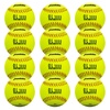 Fast-Pitch Softballs for Sports & Team Games