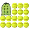 Slow-Pitch Softballs for Team Sports & Fitness