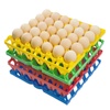 Egg Trays & Accessories | Home Improvement Tools