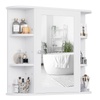 Bathroom Storage & Mirrors: Shop All Your Needs
