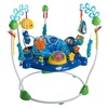 Bouncers, Jumpers & Swings: Activity and Entertainment for All