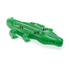 Pool Rafts & Inflatable Ride-Ons: Fun Toys for Pools