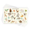 Place Mats for Babies & Toddlers | Feeding & Beyond