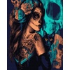 Paint-By-Number Kits for Adults, Kids & All Artists