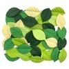 Browse Our Albums & Arts Supplies