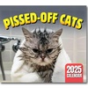 Everything about Cats: Books, Calendars & More