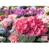 Flower Books & Calendars: Explore Floral Inspiration
