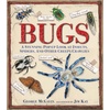 Bugs & Spiders: Children's Books & Educational Resources
