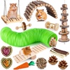 Pet Animals: Mice, Hamsters, Guinea Pigs & Squirrels