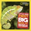Reptiles & Amphibians: Explore All Things Animals
