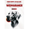 Dog Breeds, Care & Health, Training, and More