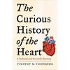Religious Categories: Explore History, Beliefs, and Traditions
