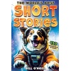 Humorous Books for Teens & Young Adults
