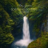 Nature & Environment: CDs, Vinyl, New Age Music